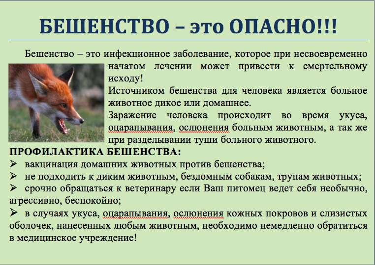 http://cgon.rospotrebnadzor.ru/upload/medialibrary/096/096527c63e0d0cae119e80db244c05c7.png