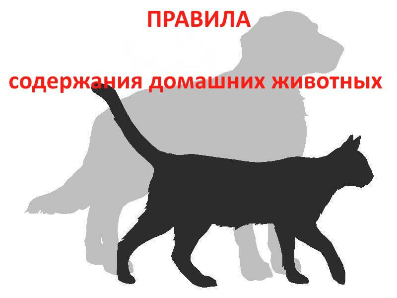 http://cgon.rospotrebnadzor.ru/upload/medialibrary/baf/baf46f97141ffd46b0805c4c08067fb4.png