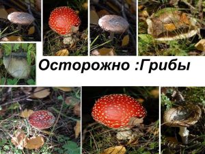 http://cgon.rospotrebnadzor.ru/upload/medialibrary/1e9/1e922ac567cbd16dd98563a3ac2b16e8.jpeg