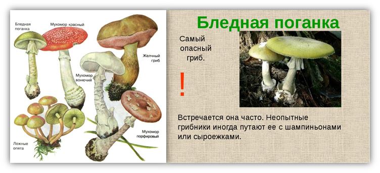 http://cgon.rospotrebnadzor.ru/upload/medialibrary/95c/95c8f24d92722ecbfa21e90c4a916222.png