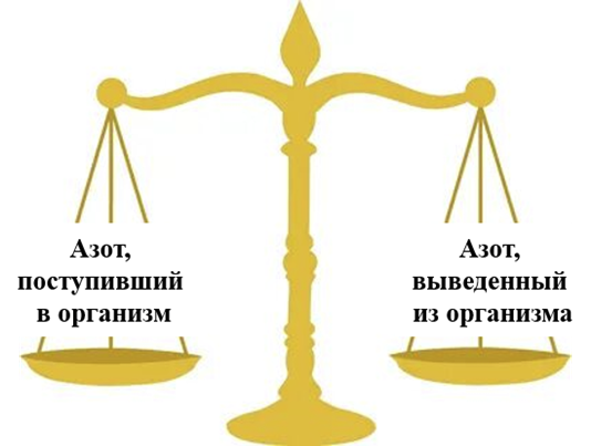 https://cgon.rospotrebnadzor.ru/upload/medialibrary/2b2/f3tbftbrv9ier2en8qayu7xmo1g11lii/content-img.png