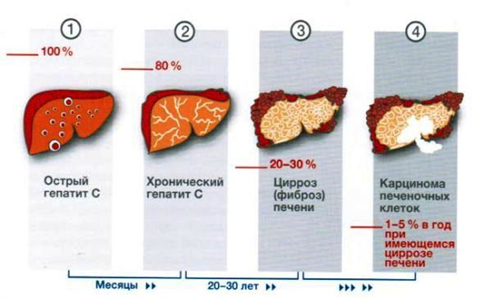 http://cgon.rospotrebnadzor.ru/upload/medialibrary/88e/88eb86d5a84abbc27dd1a152f79d580f.png
