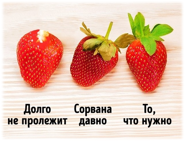 http://cgon.rospotrebnadzor.ru/upload/medialibrary/129/12922b9462a6ebec47658bde76441d6d.png