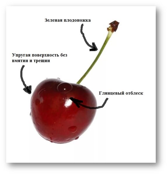 http://cgon.rospotrebnadzor.ru/upload/medialibrary/051/0515cffa05ce1518f50a14d517257841.png