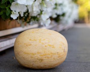 H:\Users\!Общая\Отделение организации информационного обеспечения населения\МЕДИАПЛАН июль 2025\Дыня.jpg