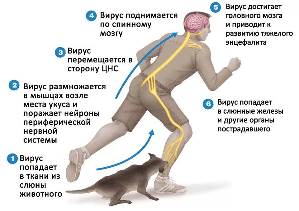 https://admin.cgon.ru/storage/upload/medialibrary/ce58fa38b79ff0241b5aef9c68b223e4.jpeg