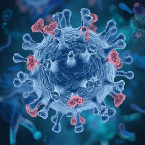 H:\Users\!Общая\Отделение организации информационного обеспечения населения\ВИч.jpg