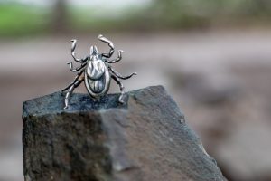 H:\Users\!Общая\Отделение организации информационного обеспечения населения\ФОТО для сайта\Инфекции и прививки\Клещ Валера.jpg