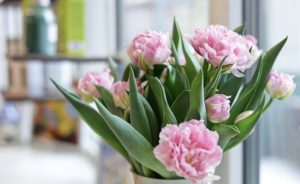 H:\Users\!Общая\Отделение организации информационного обеспечения населения\ФОТО для сайта\цветы\Тюльпаны2.jpg