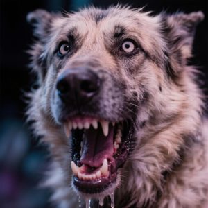 H:\Users\!Общая\Отделение организации информационного обеспечения населения\GigaChat.jpg