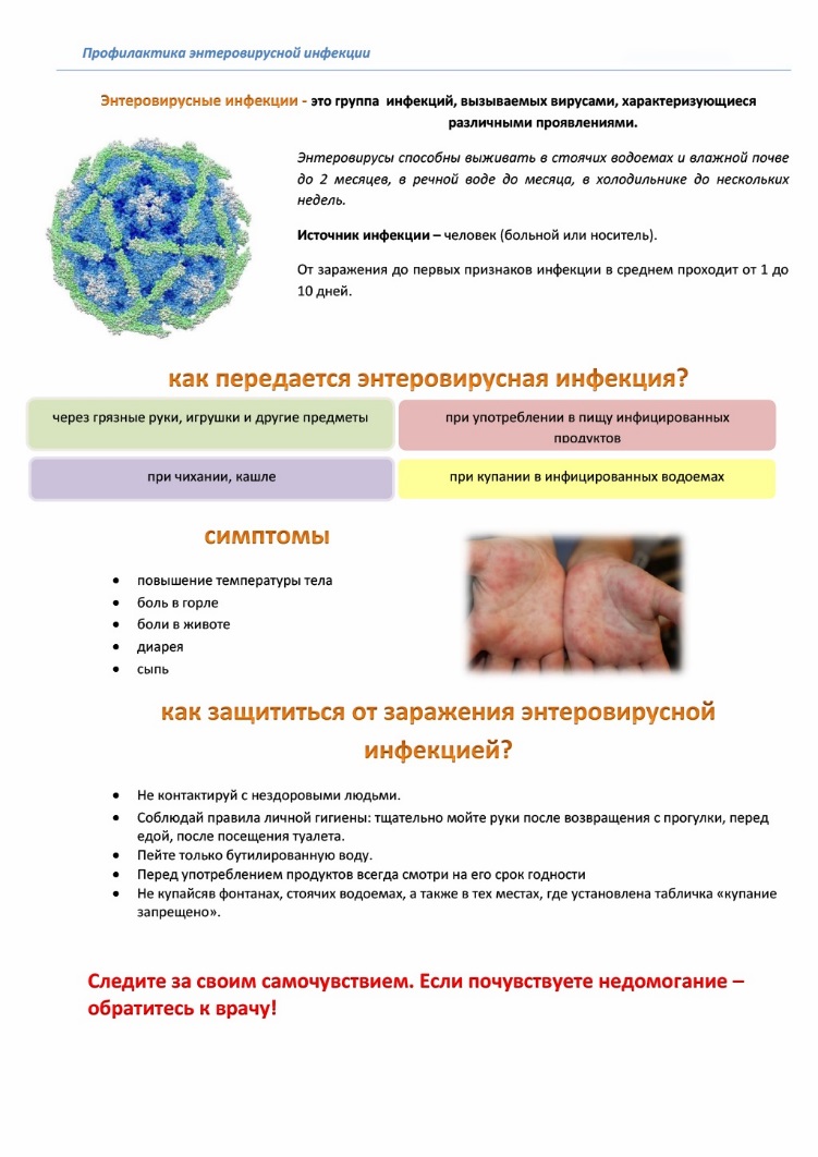 H:\USERS\User14\Орг.работа\САЙТ только ФБУЗ с 2022г\2026\МЕДИПЛАН июль 2026\27.07. - 07.08. - Горячая линия по вопросам профилактики энтеровирусной инфекции\Профилактика энтеровирусной инфекции.jpg